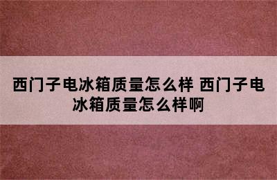 西门子电冰箱质量怎么样 西门子电冰箱质量怎么样啊